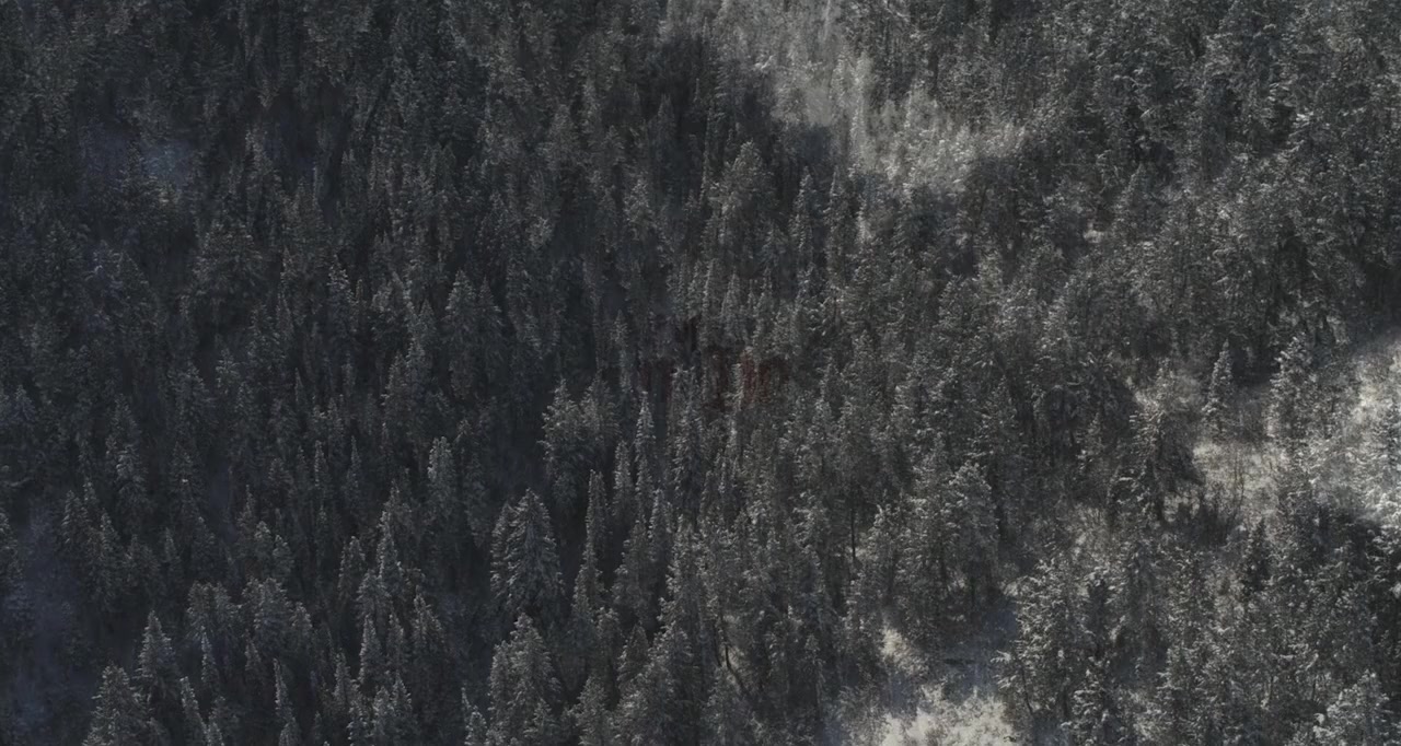 The Wolf of Snow Hollow screenshot 1