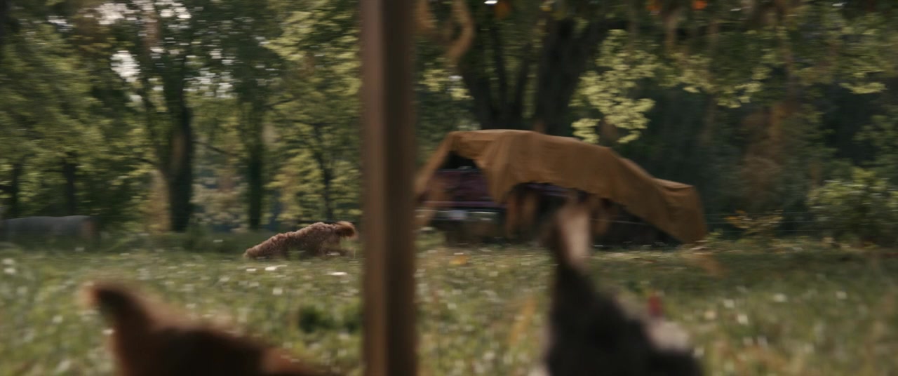 The Woman in the Yard screenshot 2