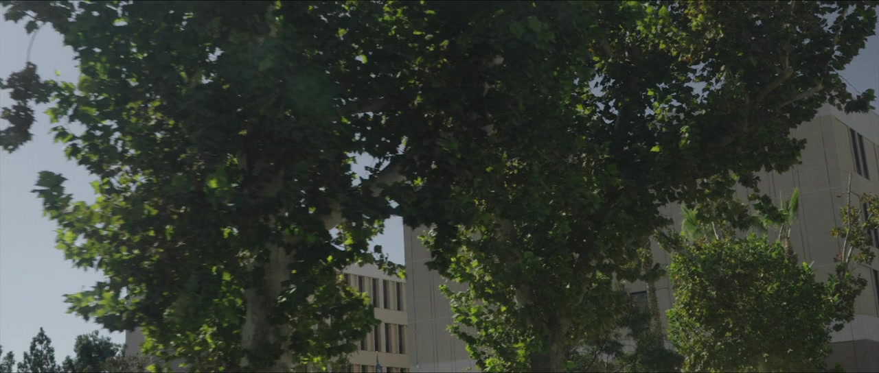 The Womb screenshot 1