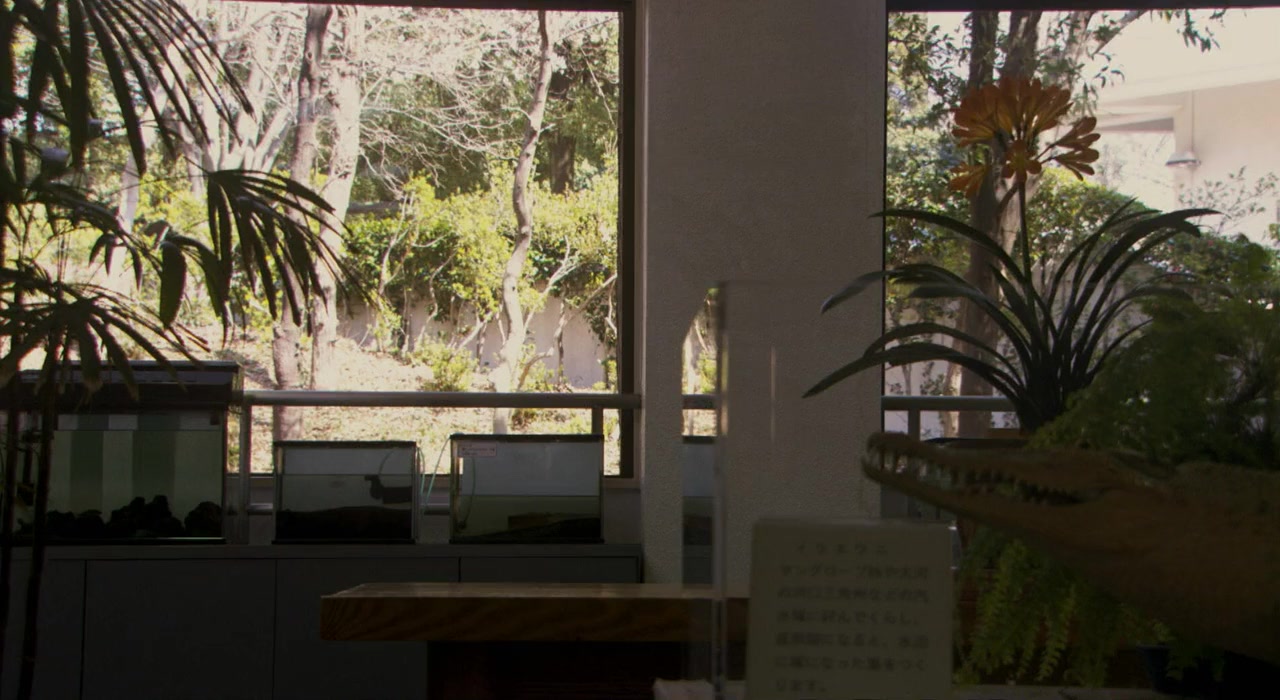 Kuhio taisa screenshot 3