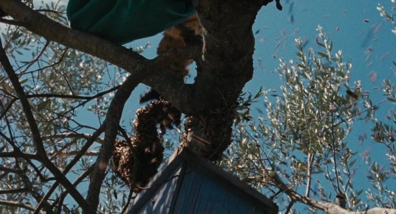 Le meraviglie screenshot 1