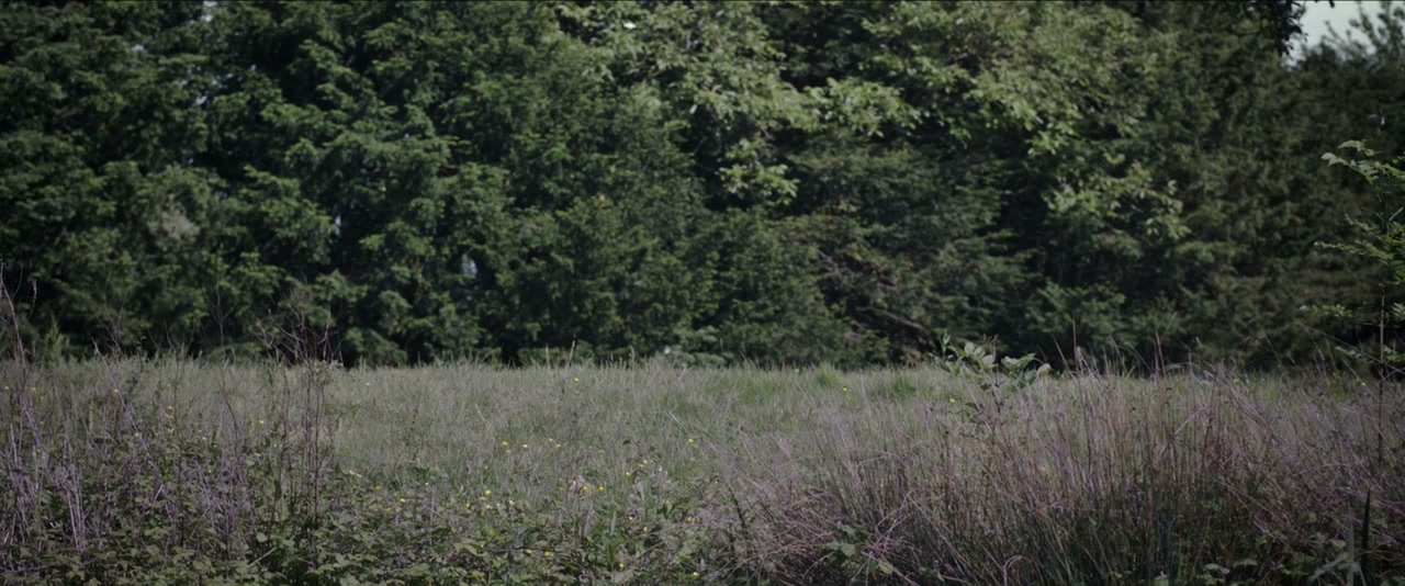 The World We Knew screenshot 1