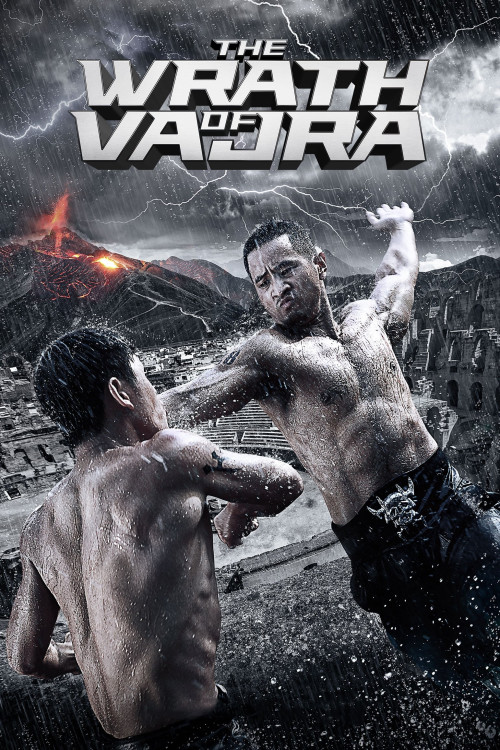 Jin Gang Wang: Si wang jiu shu (2013) poster