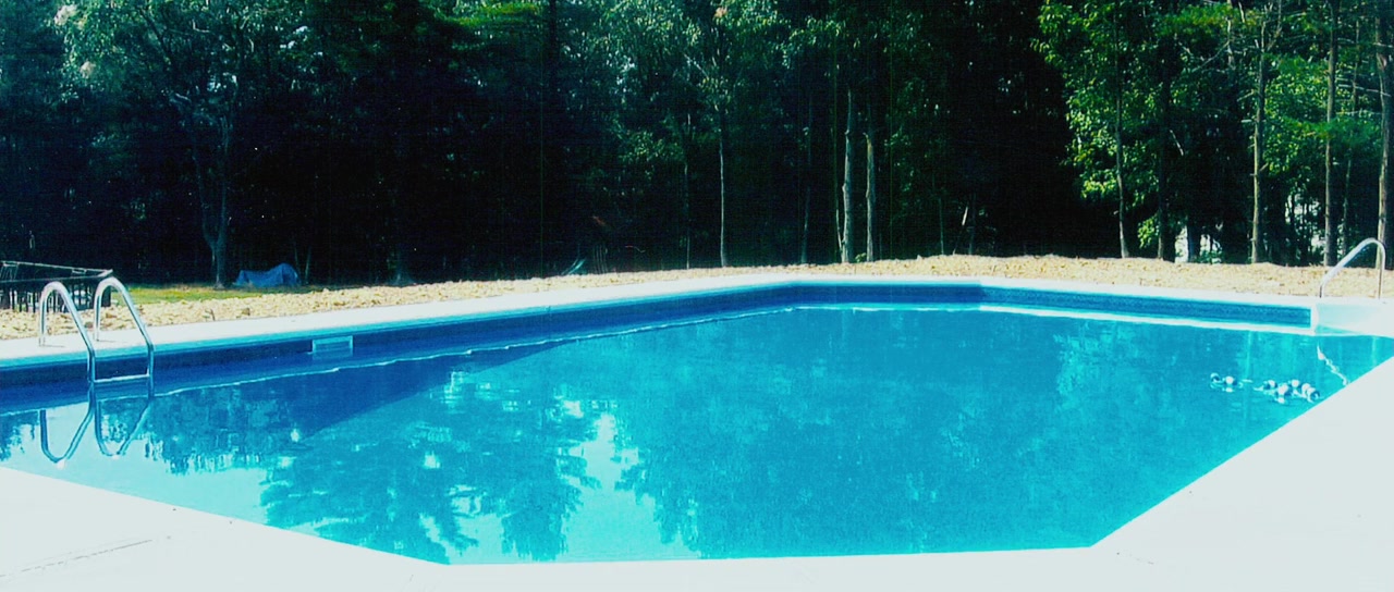 1981 screenshot 1