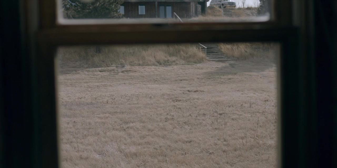 The Year of the Dog screenshot 1