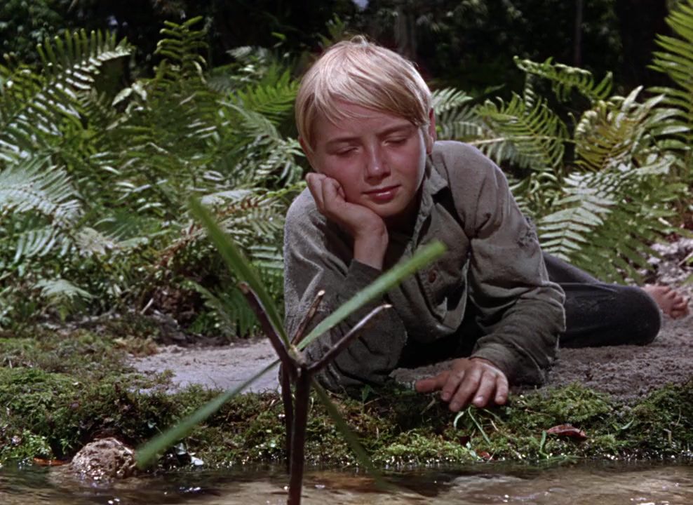 The Yearling screenshot 2