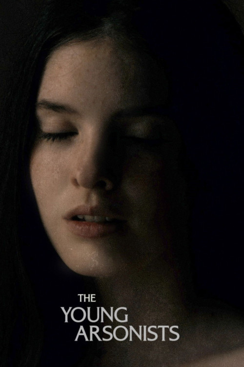 The Young Arsonists (2022) poster