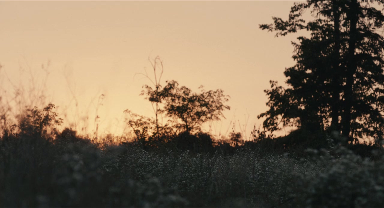 The Young Arsonists screenshot 3