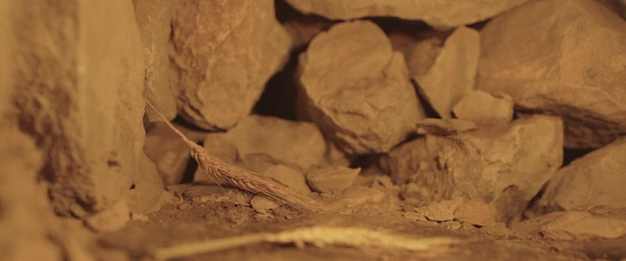 The Zohar Secret screenshot 3