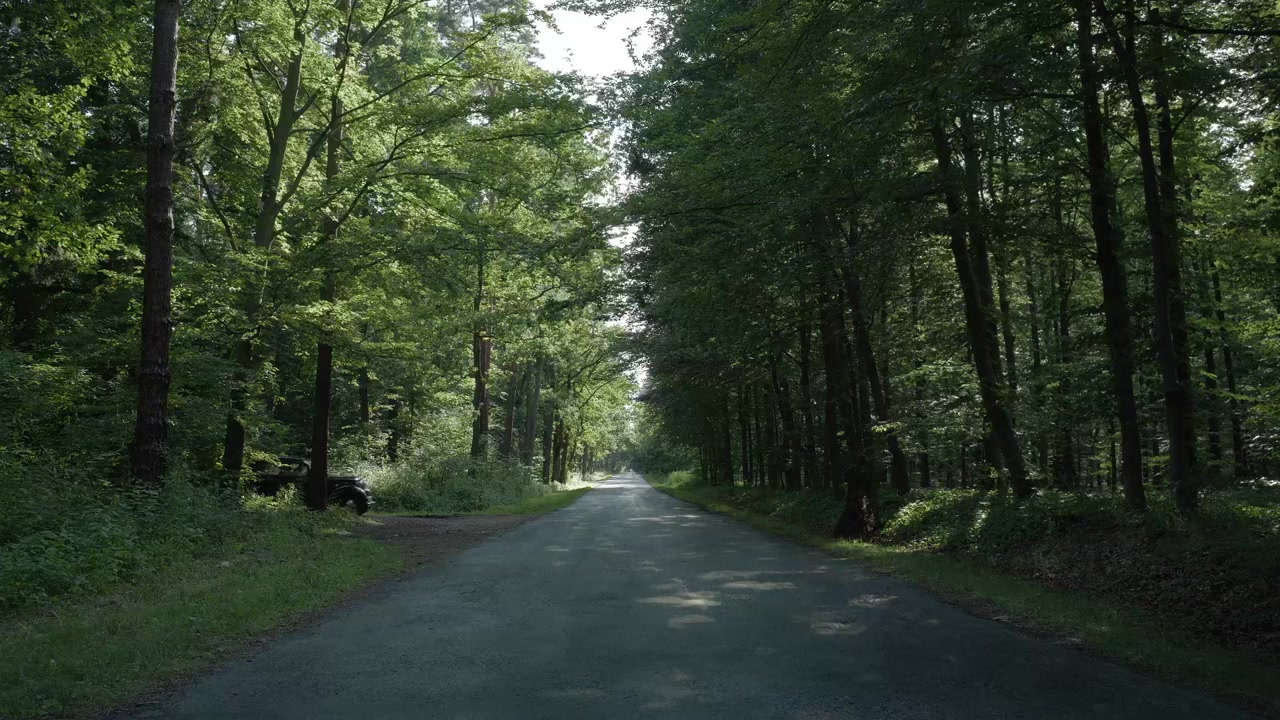 The Zone of Interest screenshot 2