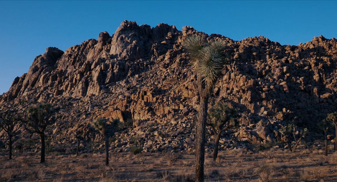 The 11th Green screenshot 1