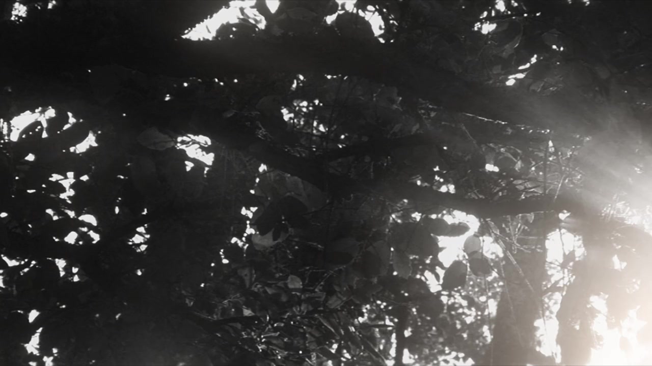 The 13th Day screenshot 1