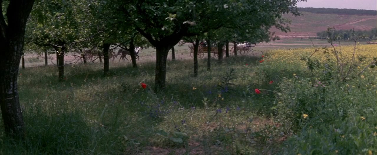 La vingt-cinquième heure screenshot 3
