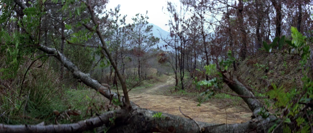 Mi quan san shi liu zhao screenshot 1