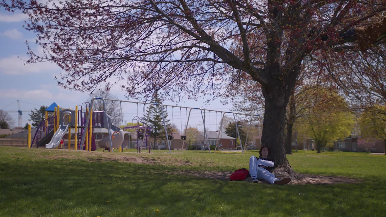 Therapy Dogs screenshot 1