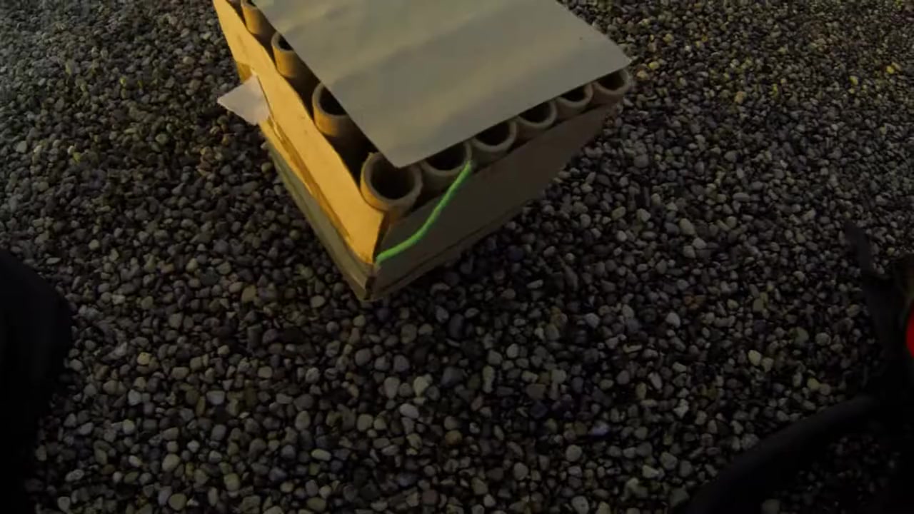 Therapy Dogs screenshot 3