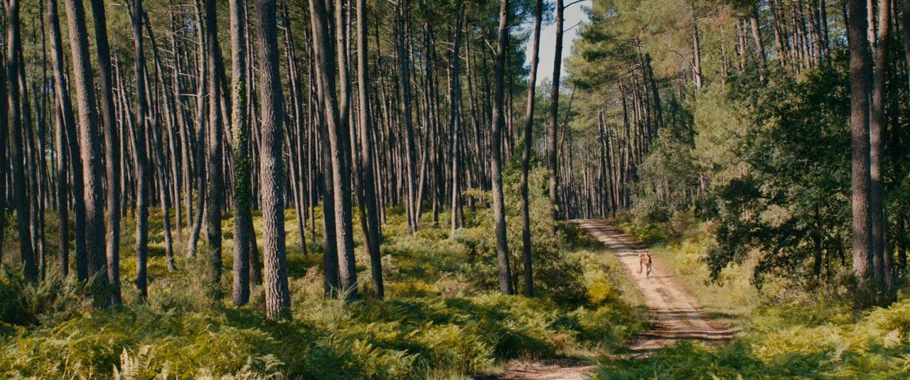 Thérèse Desqueyroux screenshot 1