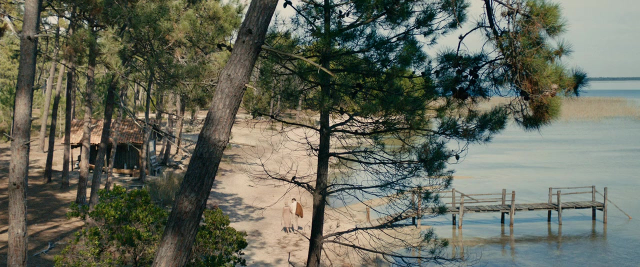 Thérèse Desqueyroux screenshot 2