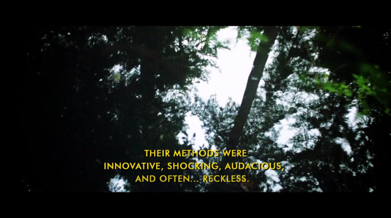 They Came from the Swamp: The Films of William Grefé screenshot 3