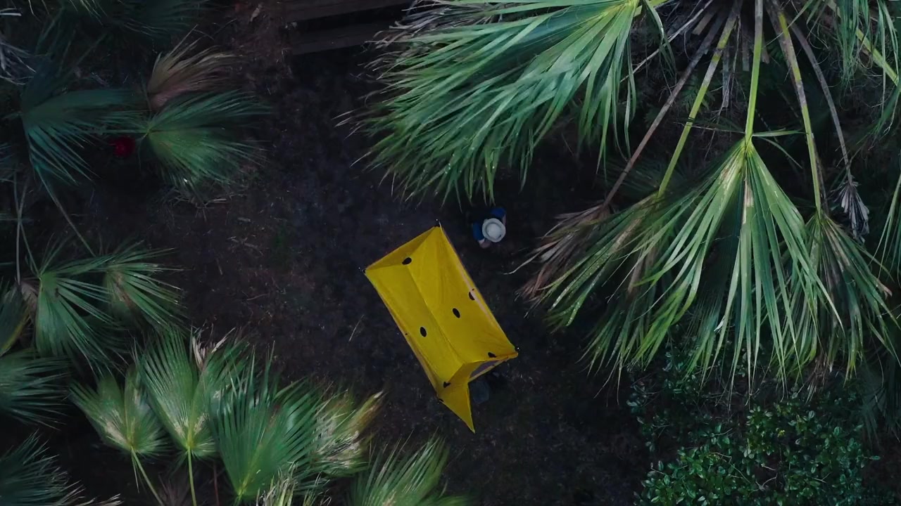 They Called Him Mostly Harmless screenshot 3