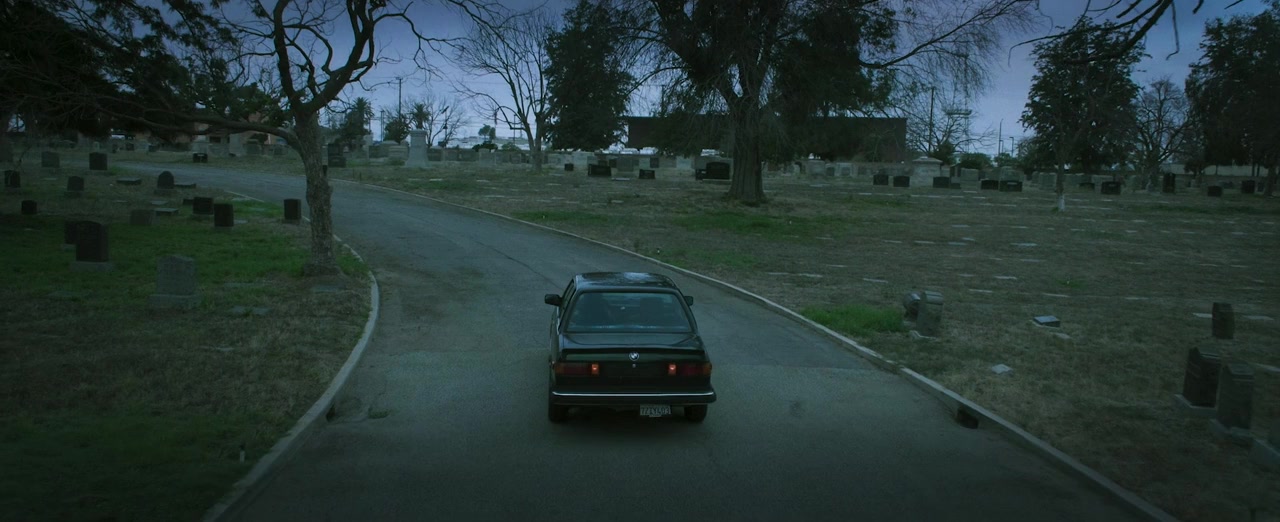 They Live in the Grey screenshot 1