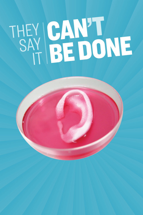 They Say It Can't Be Done (2019) poster
