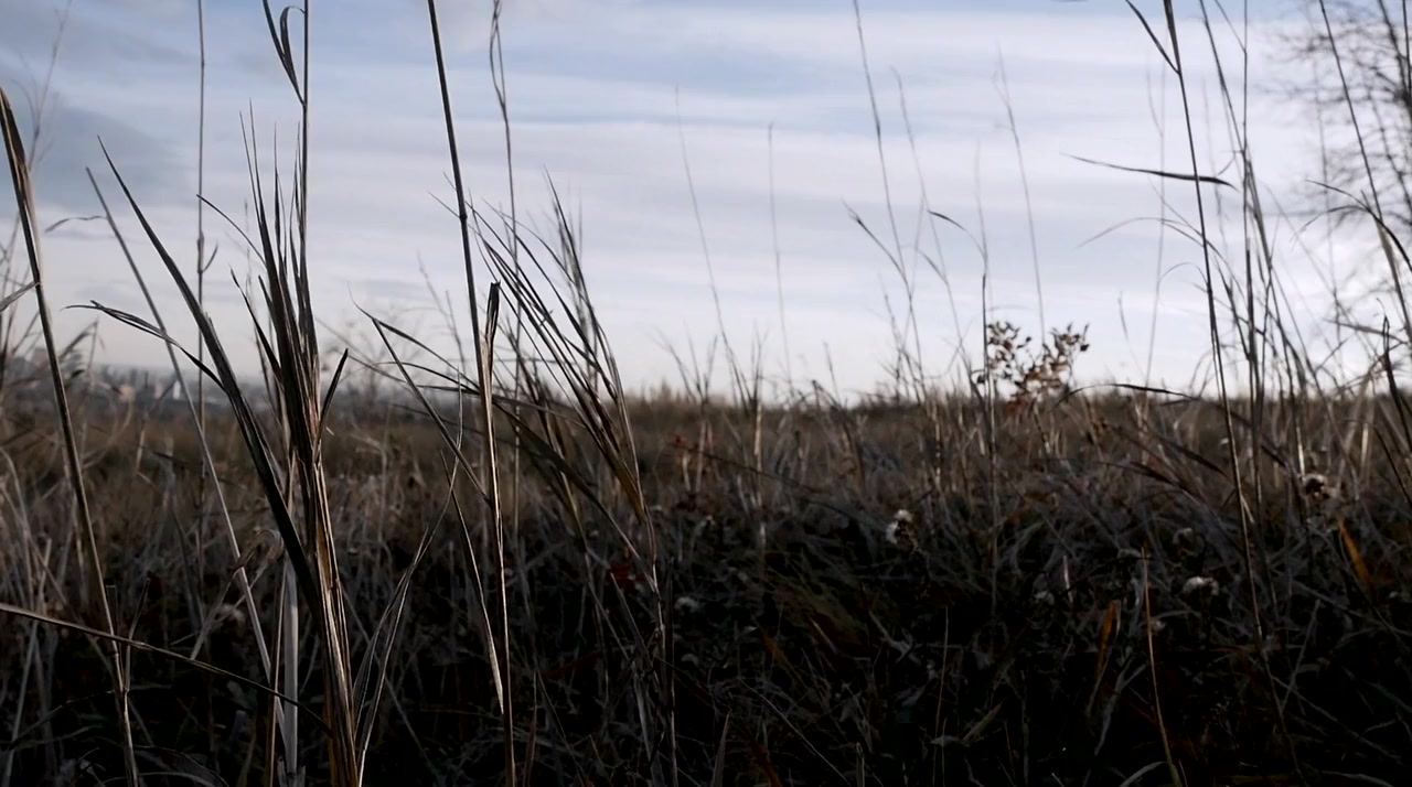 Things Fall Apart screenshot 1