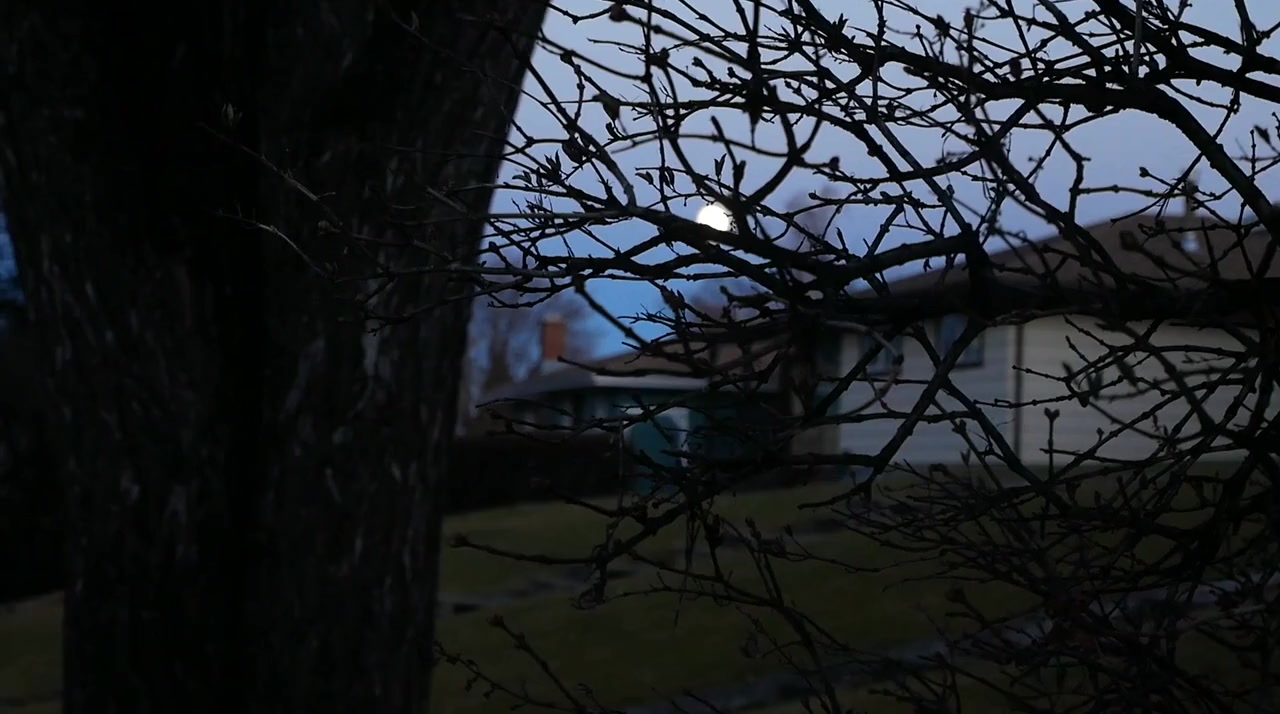 Things Fall Apart screenshot 2