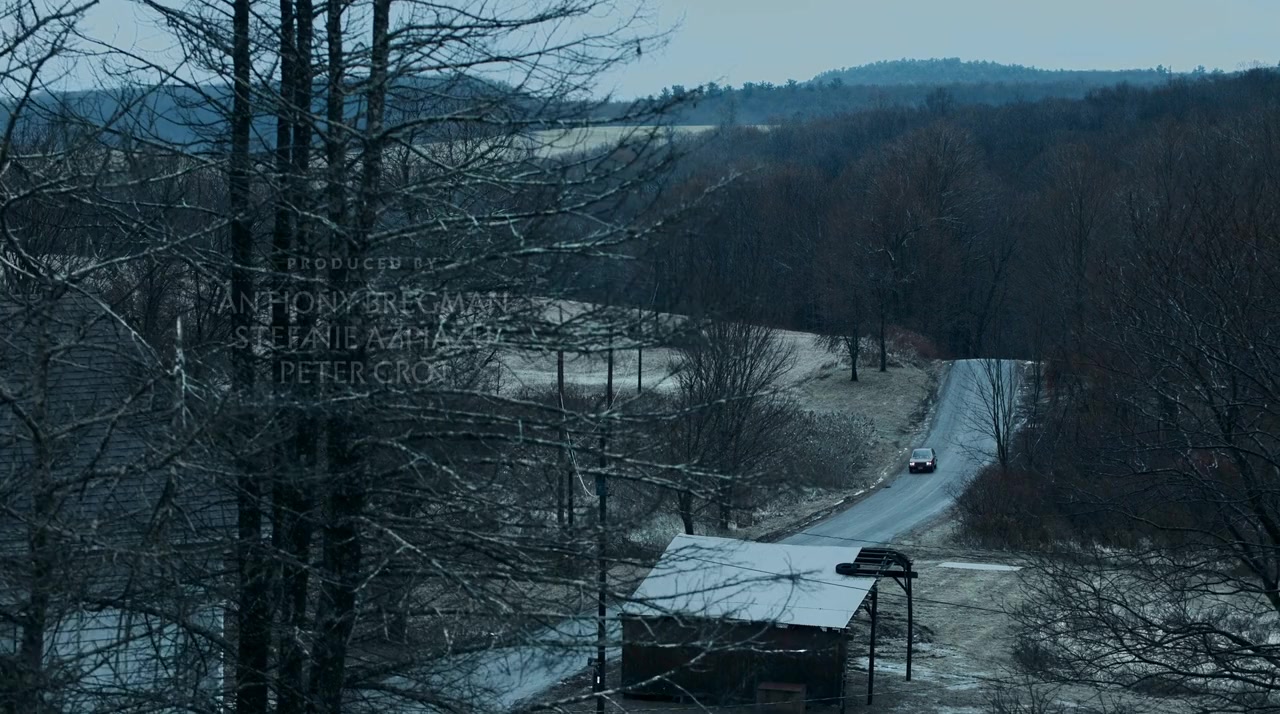Things Heard & Seen screenshot 1