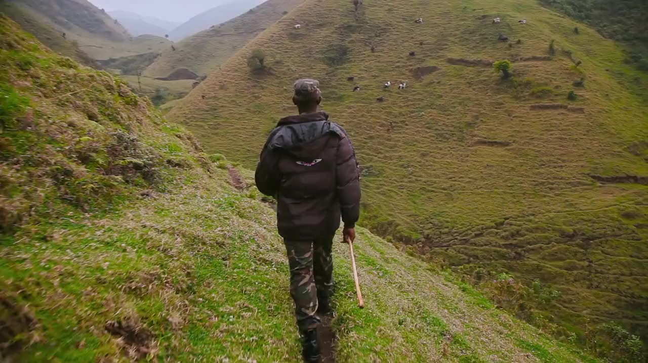 This Is Congo screenshot 2