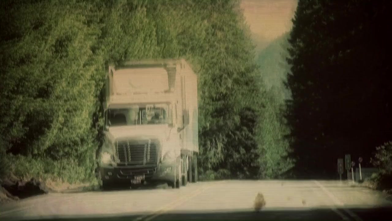 This Is Sparklehorse screenshot 2