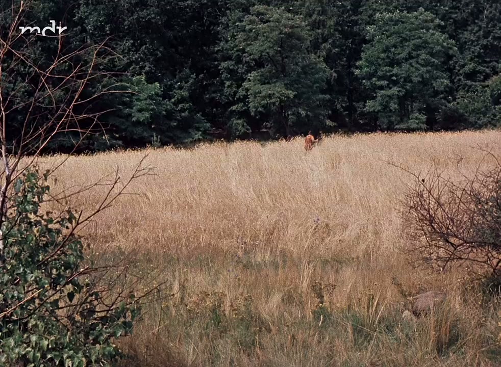 Thomas Müntzer screenshot 1