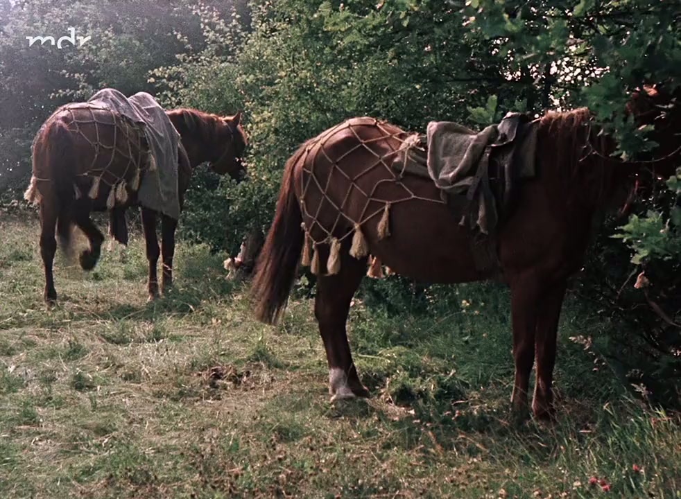 Thomas Müntzer screenshot 2