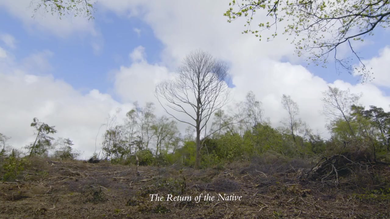 Thomas Hardy: Fate, Exclusion & Tragedy screenshot 3