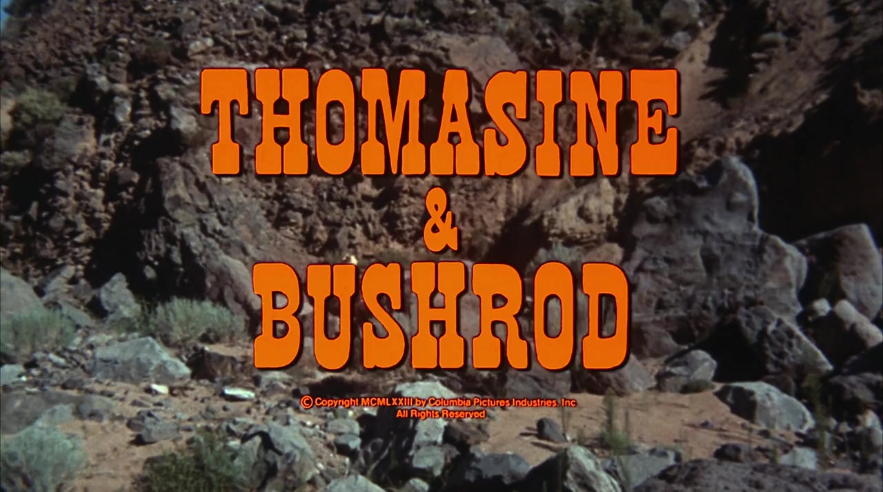 Thomasine & Bushrod screenshot 1