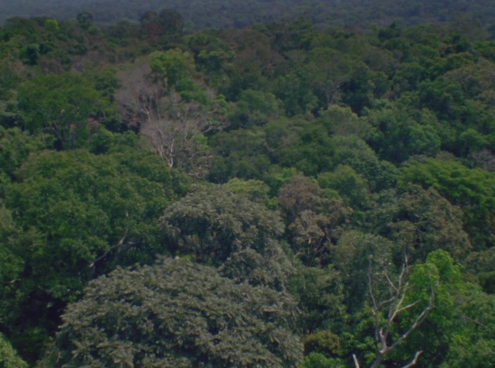 Those That, at a Distance, Resemble Another screenshot 1
