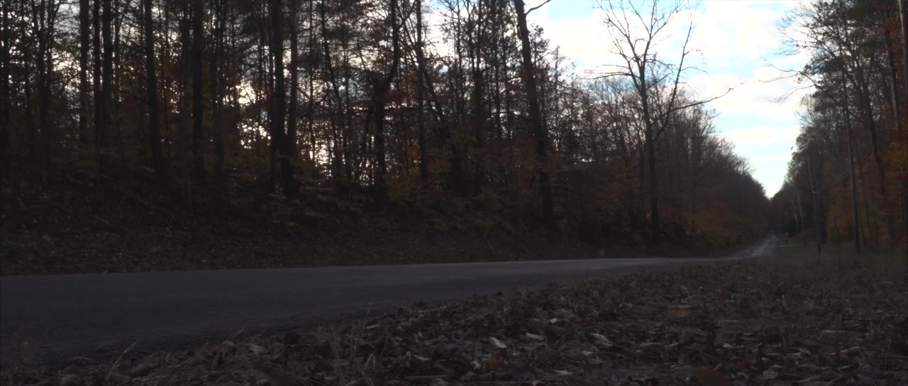 Three Days in the Woods 2: Killin' Time screenshot 2