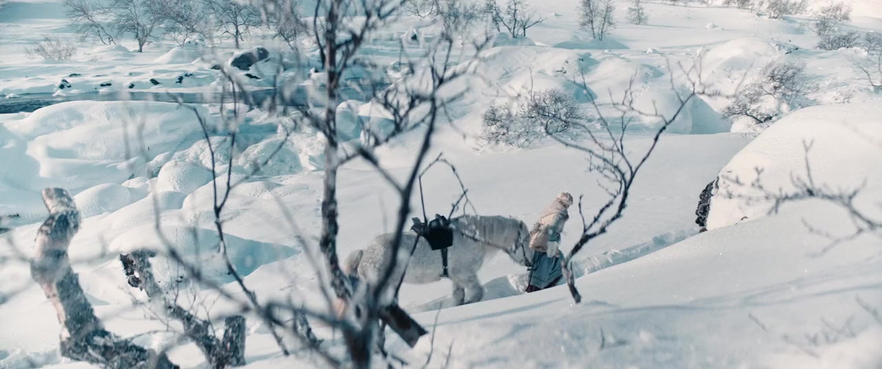 Tre nøtter til Askepott screenshot 2