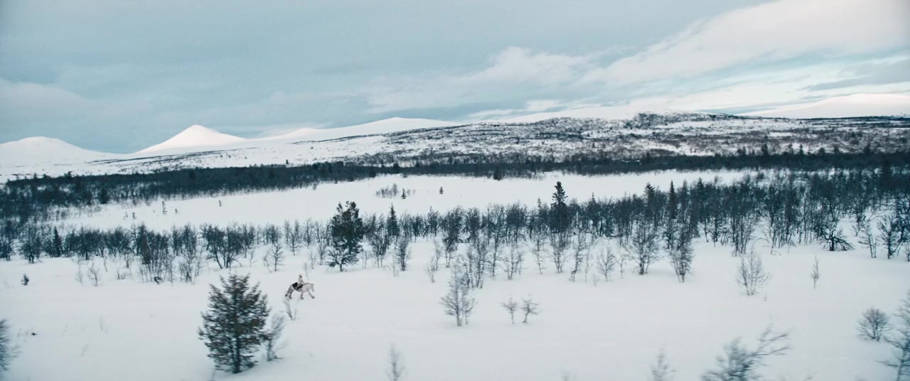 Tre nøtter til Askepott screenshot 3