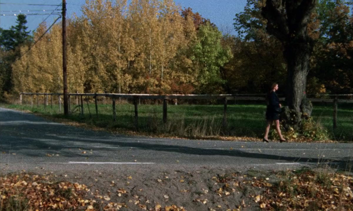 Thriller - En grym film screenshot 2