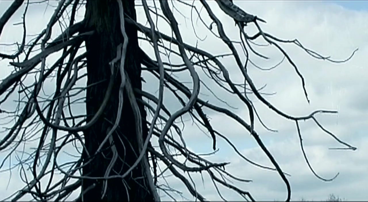 Through the Looking Glass screenshot 1
