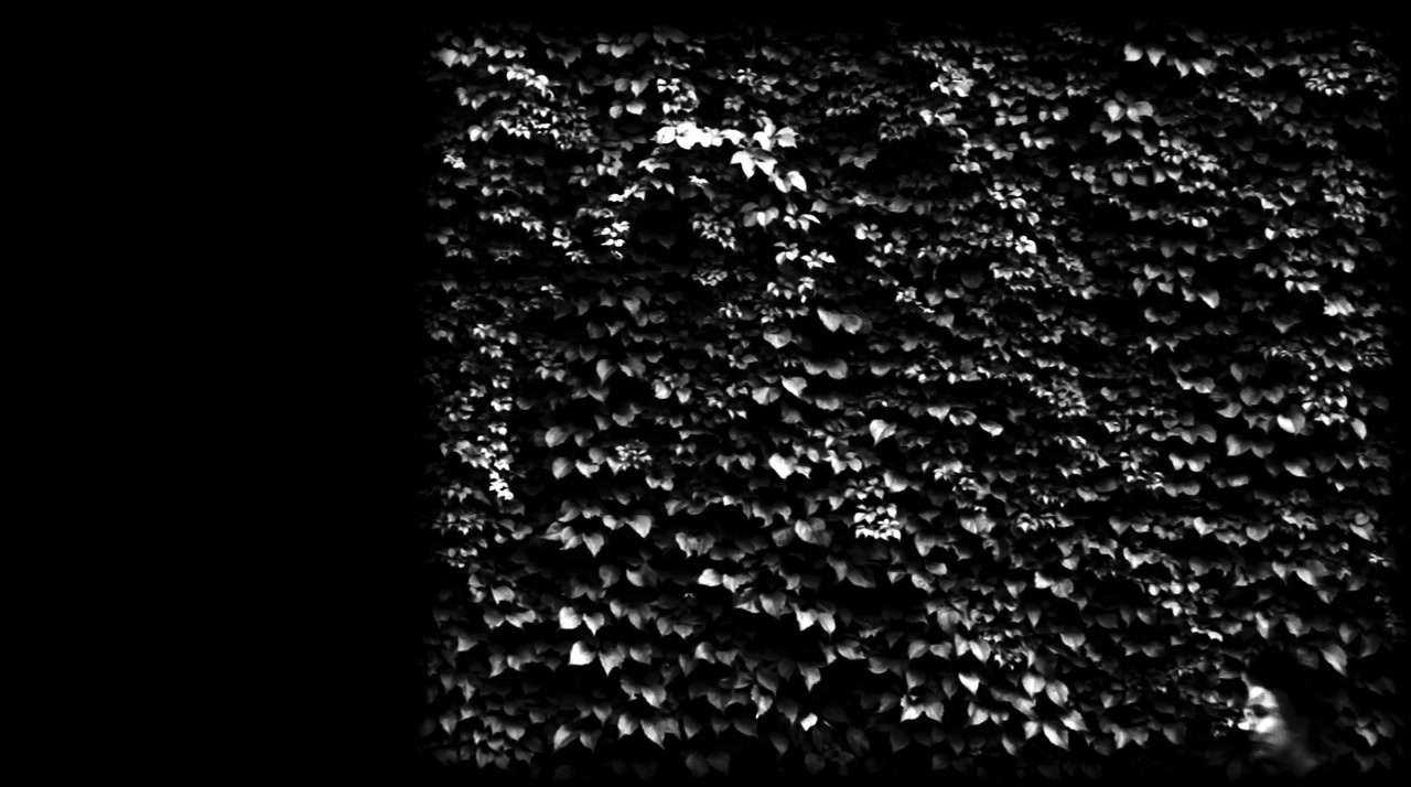 Through the Weeping Glass: On the Consolations of Life Everlasting (Limbos & Afterbreezes in the Mütter Museum) screenshot 1