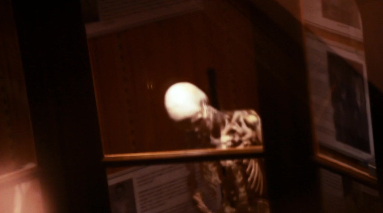 Through the Weeping Glass: On the Consolations of Life Everlasting (Limbos & Afterbreezes in the Mütter Museum) screenshot 3