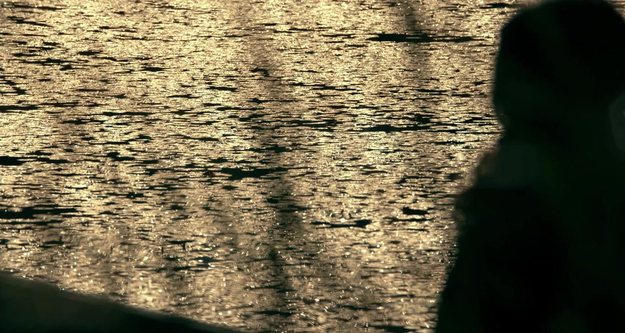 Through Black Spruce screenshot 1