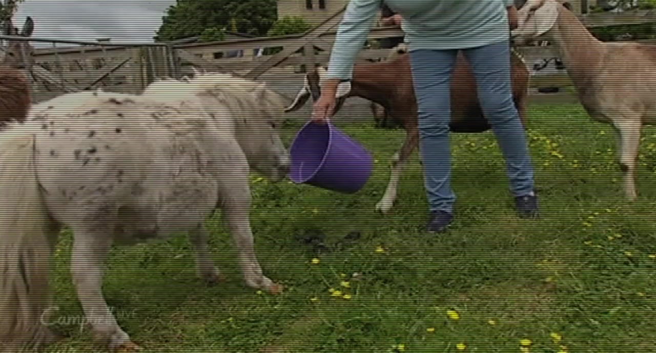 Tickled screenshot 2