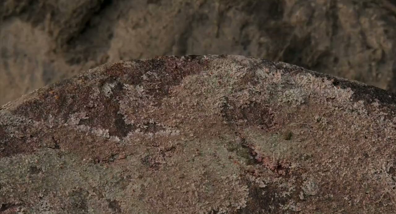 Tie Die screenshot 1