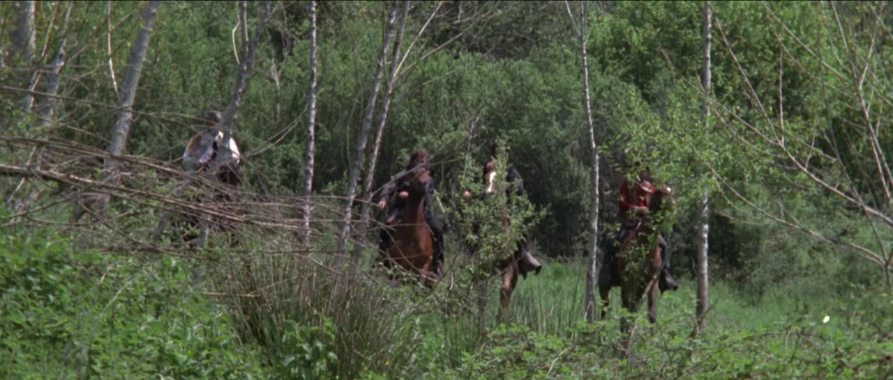 La tigre venuta dal fiume Kwai screenshot 2