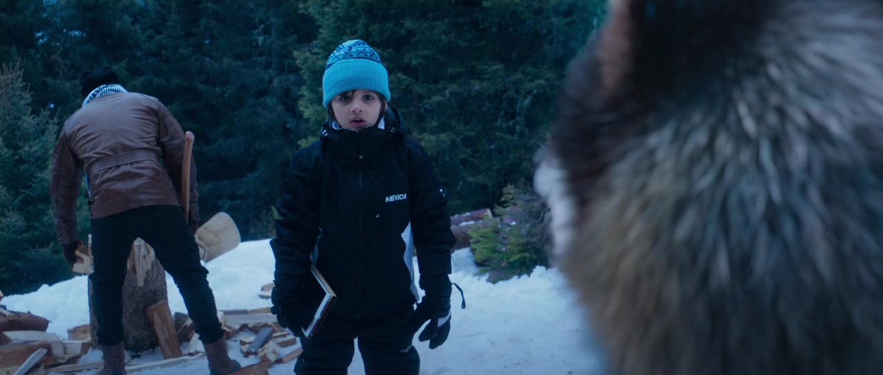 Tiger Zinda Hai screenshot 2