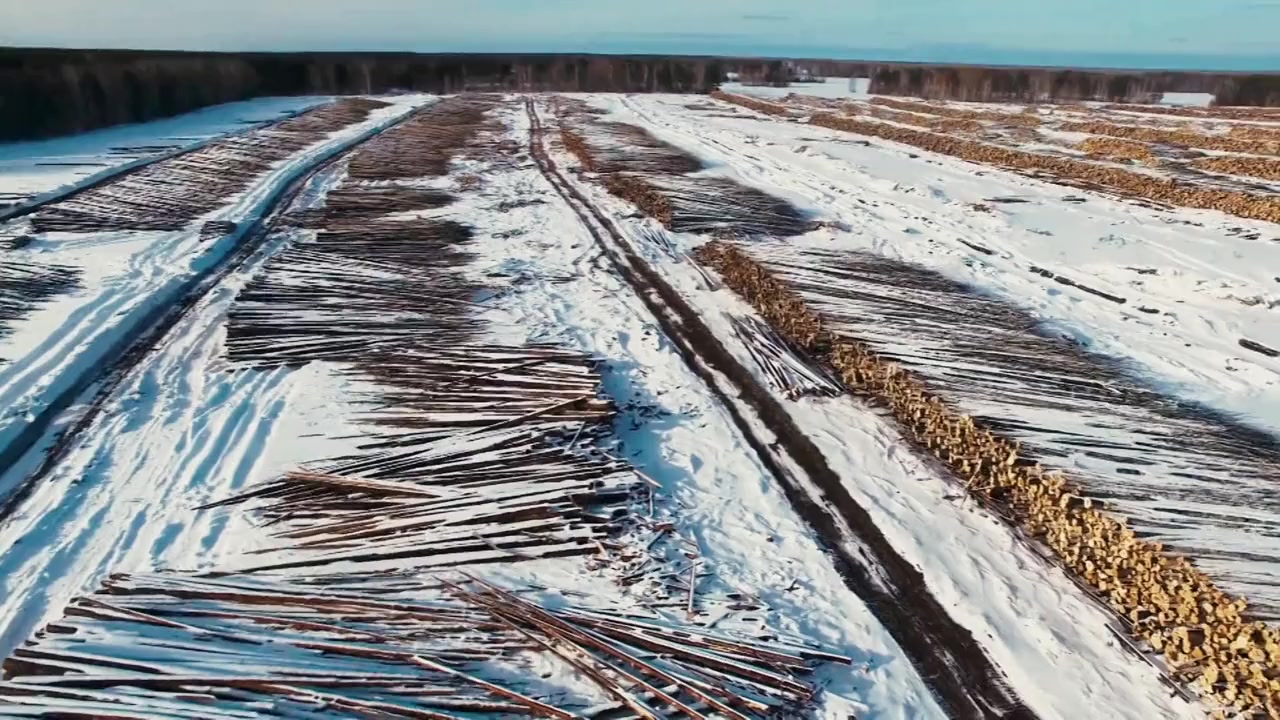 Taken by the Tiger screenshot 1