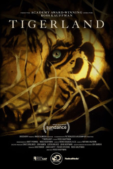 Taken by the Tiger (2019) poster
